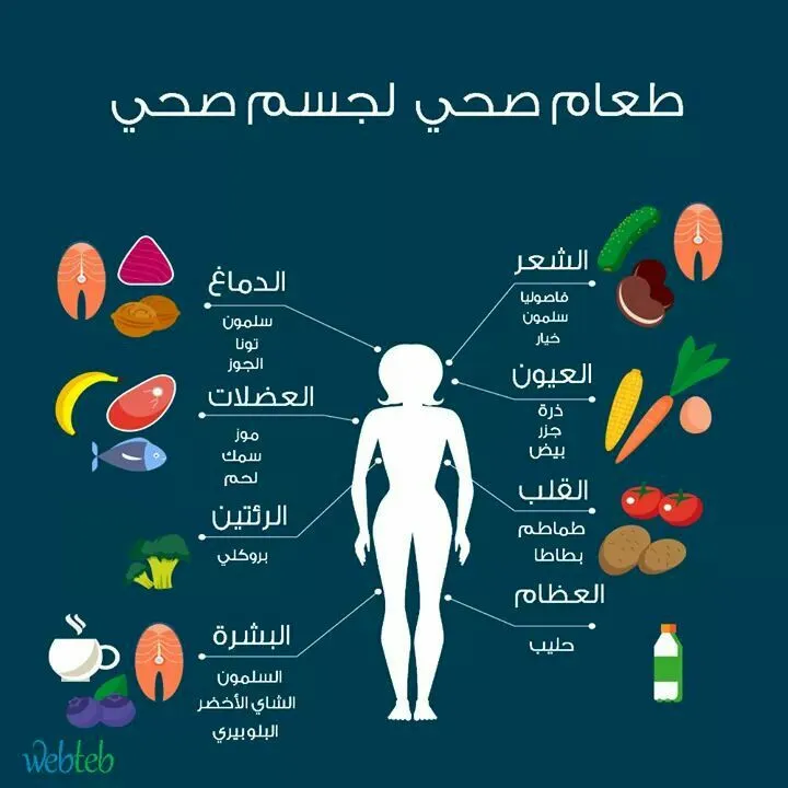 أسرار التغذية اليومية المتوازنة وكيف تجعل الأكل الصحي أسلوب حياة ممتع بدون حرمان